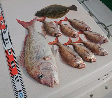 遊漁船 家入 釣果