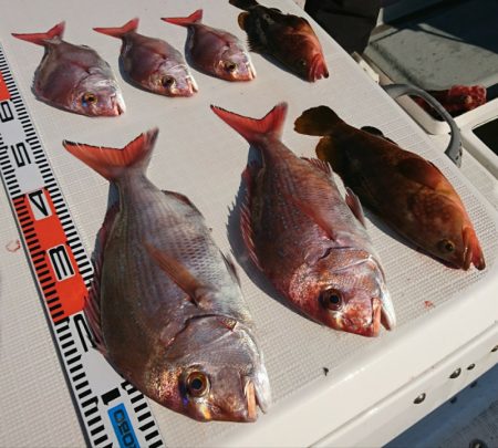 遊漁船　家入 釣果