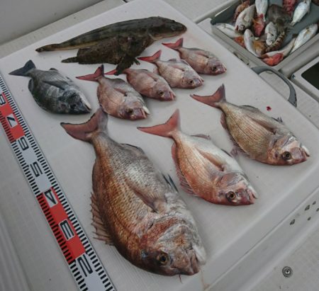 遊漁船 家入 釣果