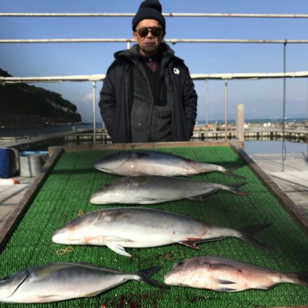 海の釣堀 海恵 釣果
