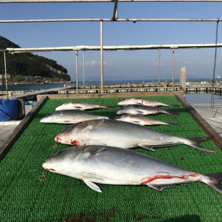 海の釣堀 海恵 釣果