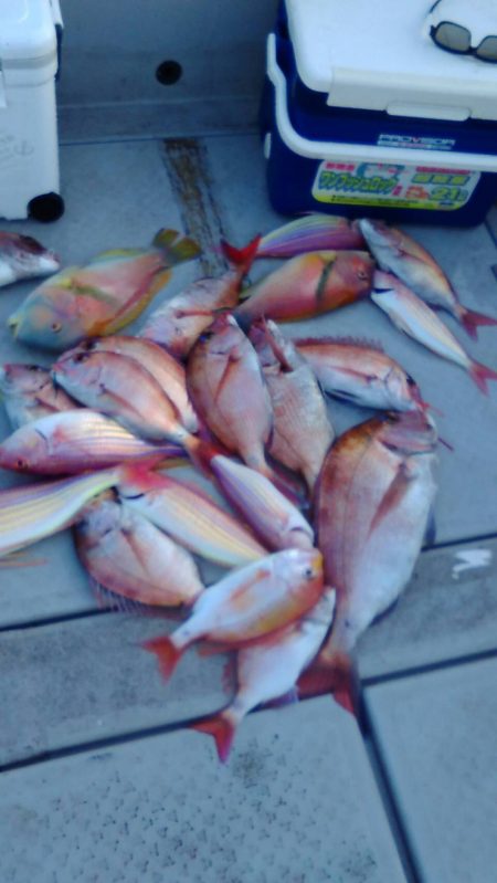 海季丸(みきまる) 釣果