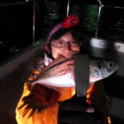 Chase(チェイス) 釣果