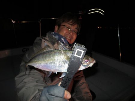 Chase(チェイス) 釣果