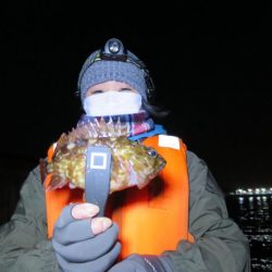 Chase(チェイス) 釣果