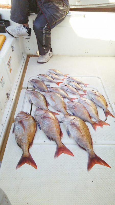 マリンガイド福丸 釣果