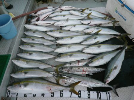 オーシャンスター(Ocean Star) …