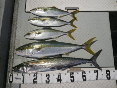 オーシャンスター(Ocean Star) …