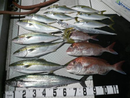 オーシャンスター(Ocean Star) …