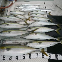 オーシャンスター(Ocean Star) 釣果