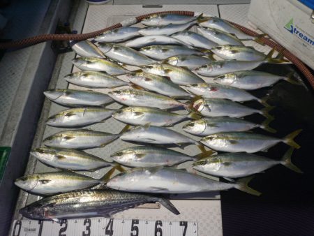 オーシャンスター(Ocean Star) …