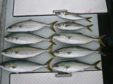 オーシャンスター(Ocean Star) …