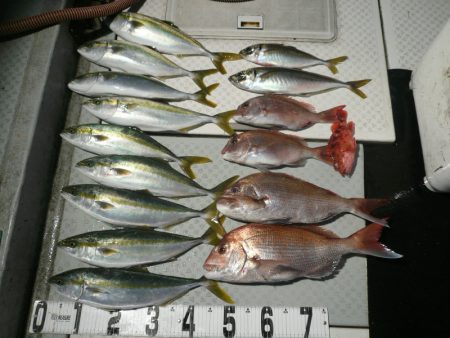 オーシャンスター(Ocean Star) …