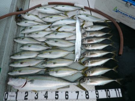 オーシャンスター(Ocean Star) …