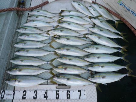 オーシャンスター(Ocean Star) …