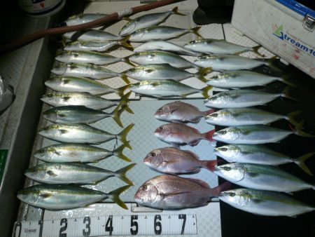 オーシャンスター(Ocean Star) …