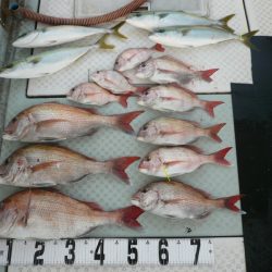 オーシャンスター(Ocean Star) 釣果