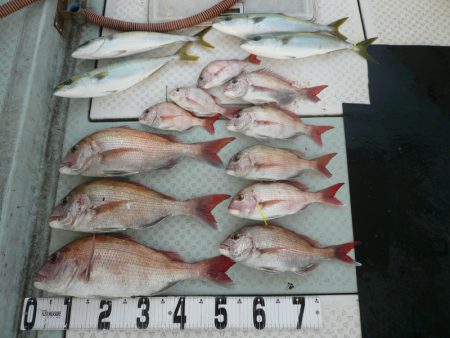 オーシャンスター(Ocean Star) …