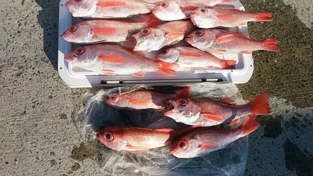 ぽん助丸 釣果