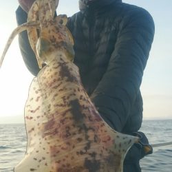 シースナイパー海龍 釣果