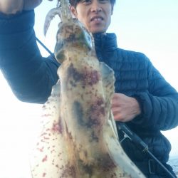 シースナイパー海龍 釣果