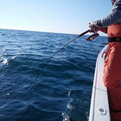 ひな丸 釣果