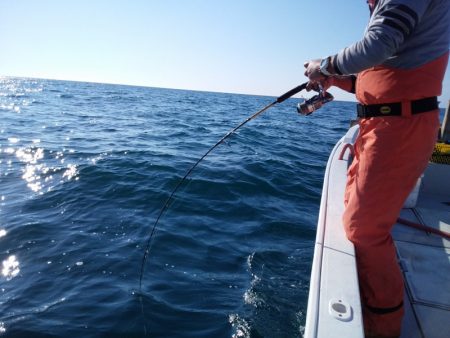 ひな丸 釣果