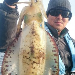 シースナイパー海龍 釣果