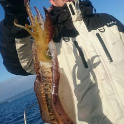 シースナイパー海龍 釣果