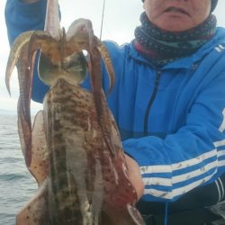 シースナイパー海龍 釣果