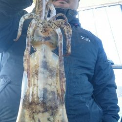 シースナイパー海龍 釣果