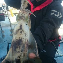 シースナイパー海龍 釣果