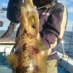 シースナイパー海龍 釣果
