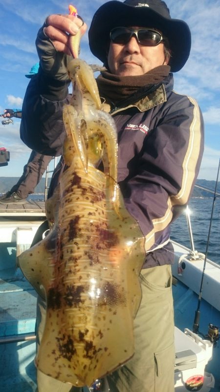 シースナイパー海龍 釣果