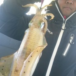 シースナイパー海龍 釣果