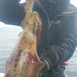 シースナイパー海龍 釣果