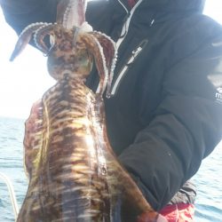 シースナイパー海龍 釣果