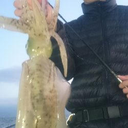 シースナイパー海龍 釣果