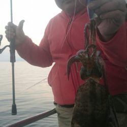 シースナイパー海龍 釣果