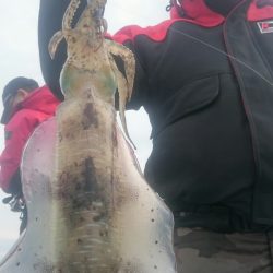 シースナイパー海龍 釣果