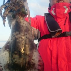 シースナイパー海龍 釣果