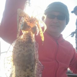 シースナイパー海龍 釣果