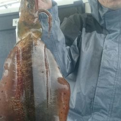 シースナイパー海龍 釣果