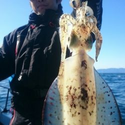 シースナイパー海龍 釣果