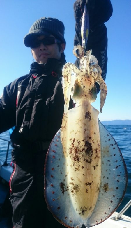 シースナイパー海龍 釣果