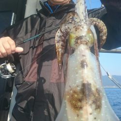 シースナイパー海龍 釣果