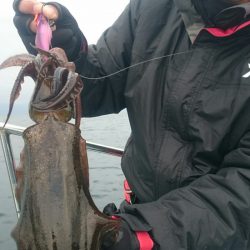 シースナイパー海龍 釣果