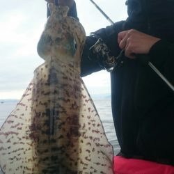 シースナイパー海龍 釣果