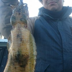 シースナイパー海龍 釣果