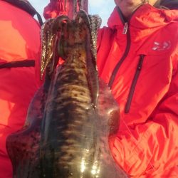 シースナイパー海龍 釣果